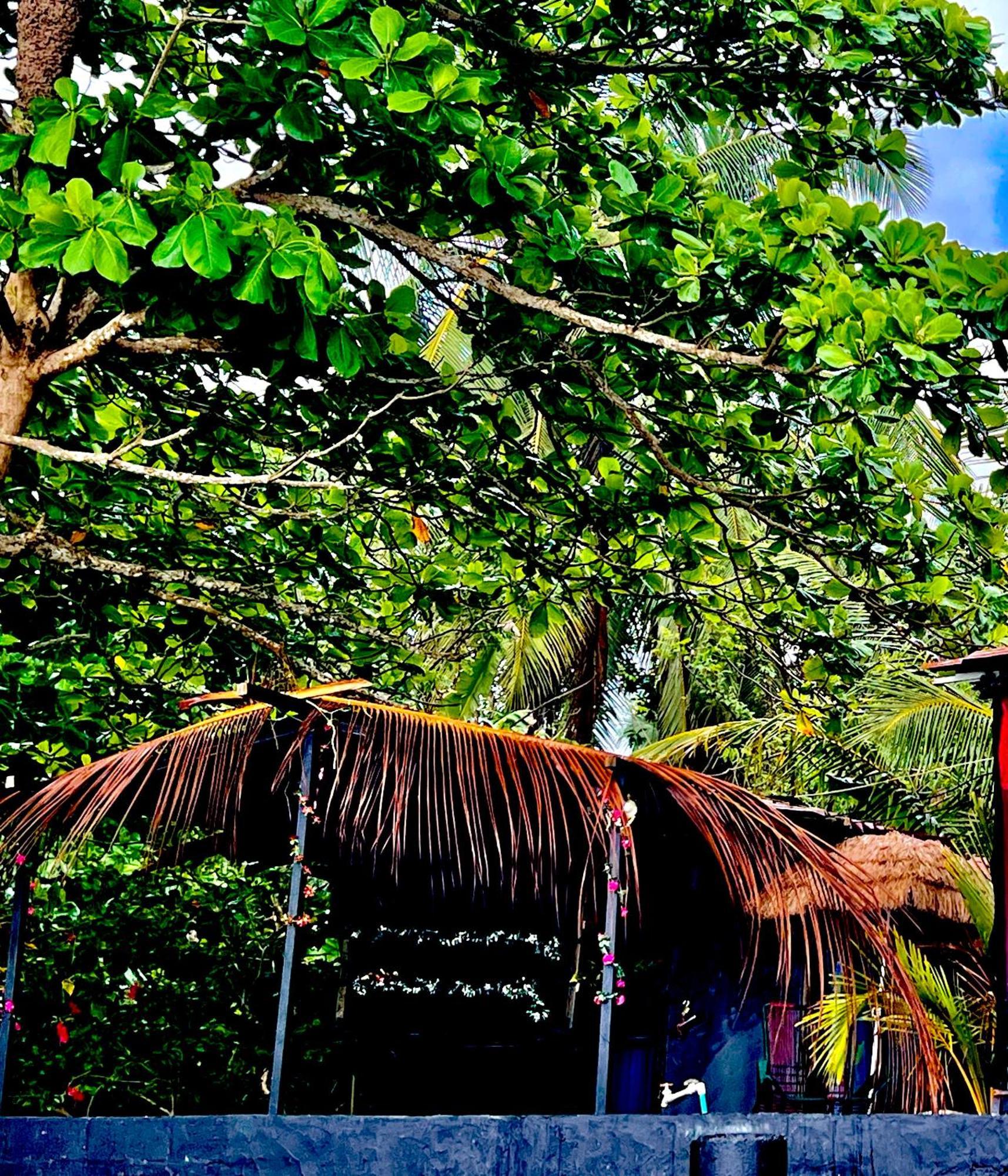 Beachfront Paradise Manuel Antonio Exterior foto