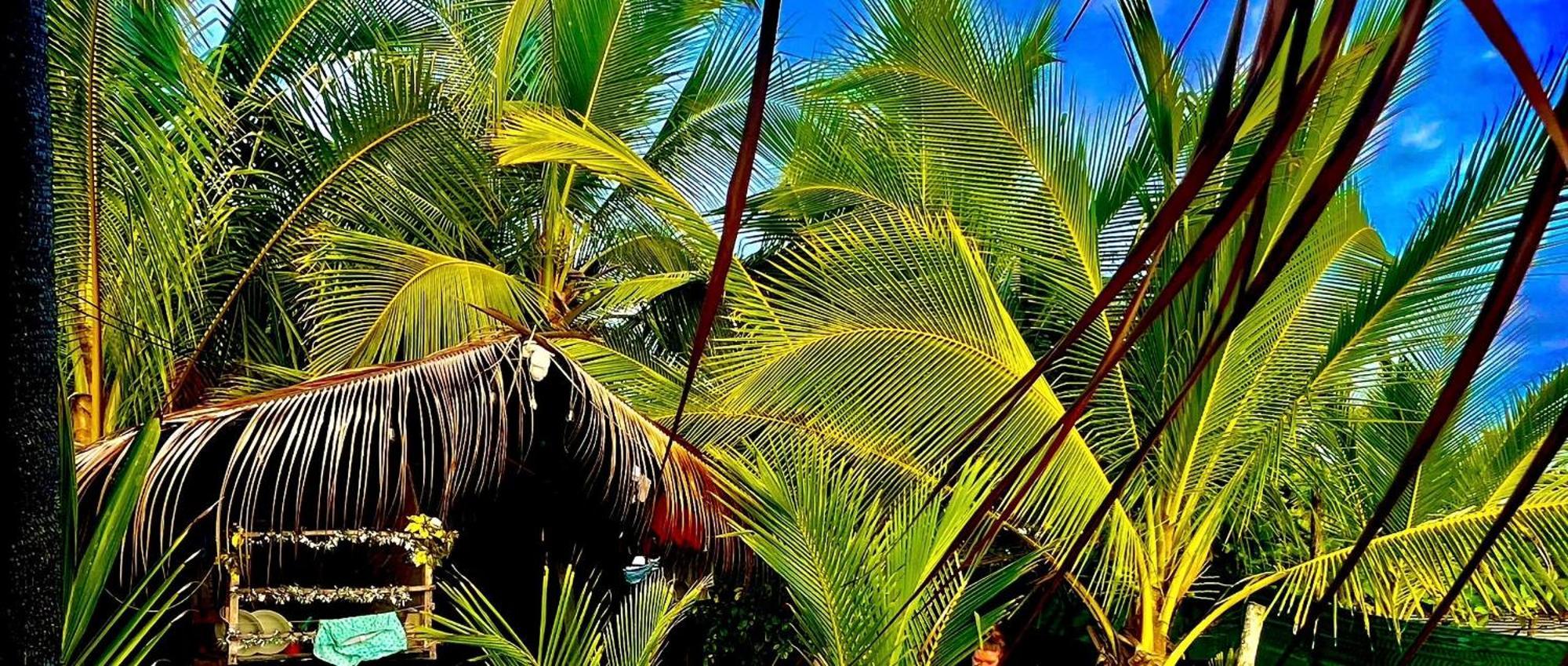 Beachfront Paradise Manuel Antonio Exterior foto